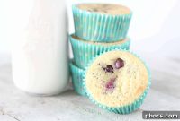 Fluffy Keto Blueberry Muffins