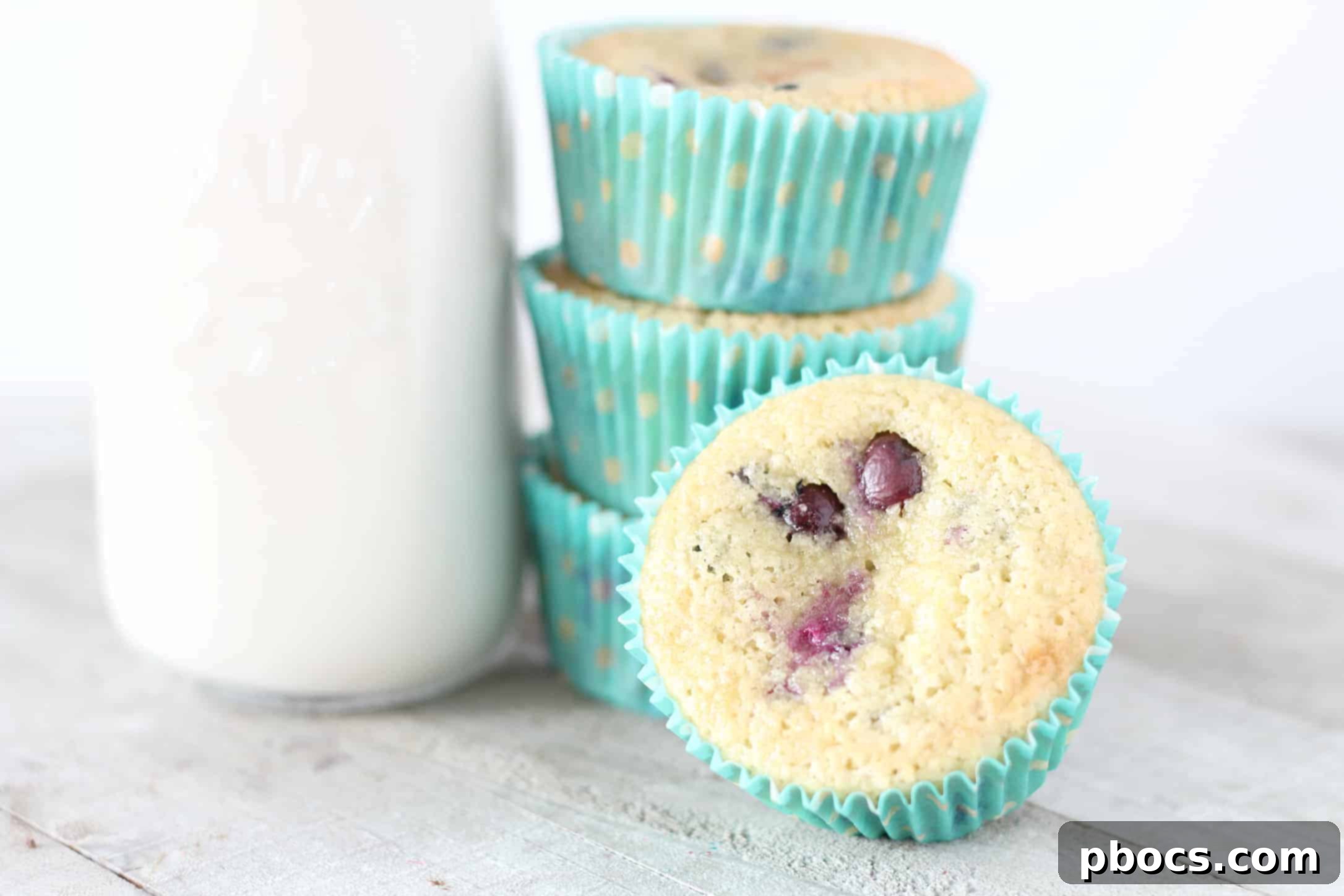 Fluffy Keto Blueberry Muffins 1 featured 11705