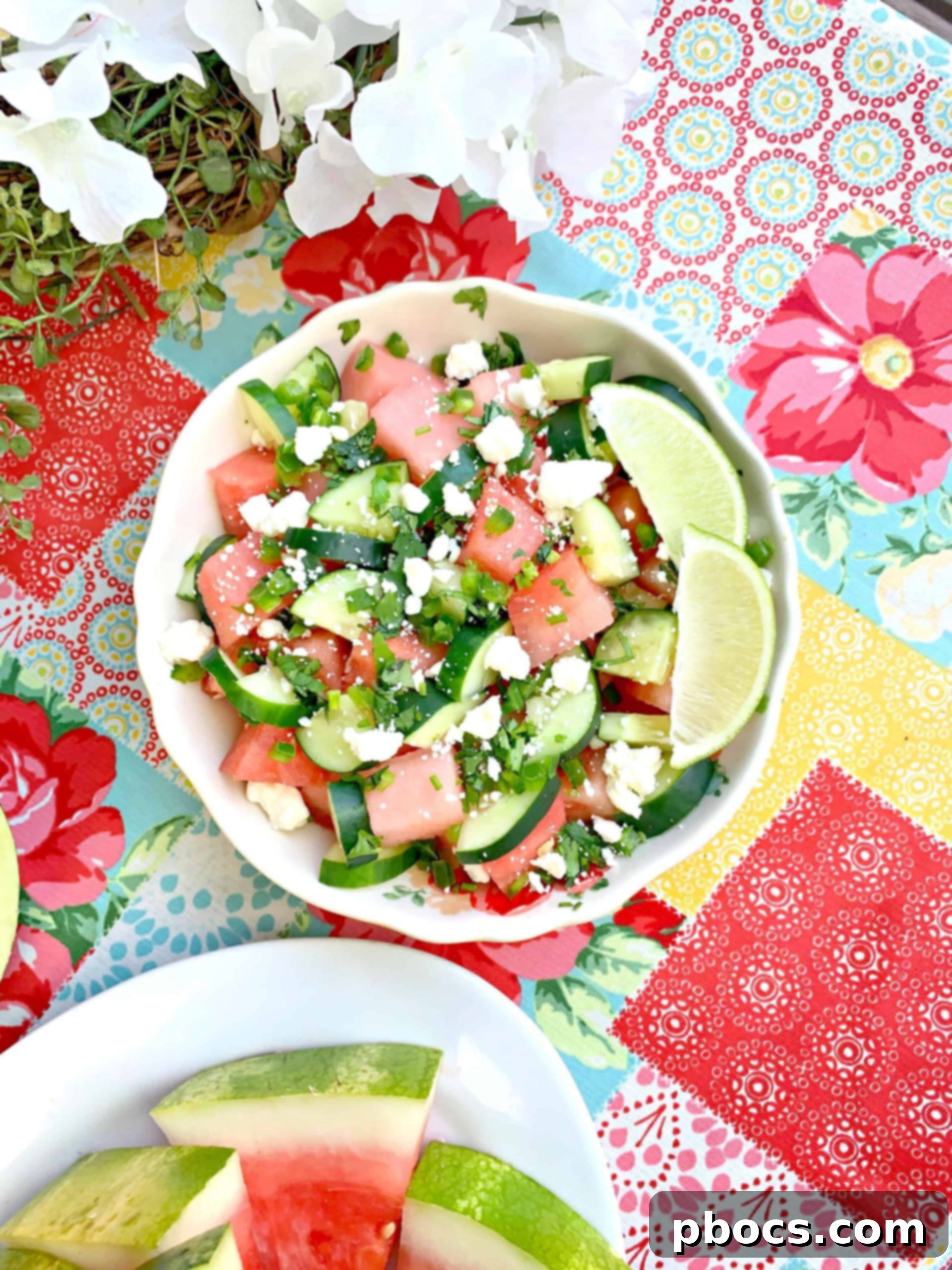 First Cookout with Watermelon Jalapeno Feta Salad 1 featured 13278