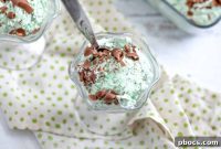 Refreshing Keto Mint Chocolate Chip Ice Cream