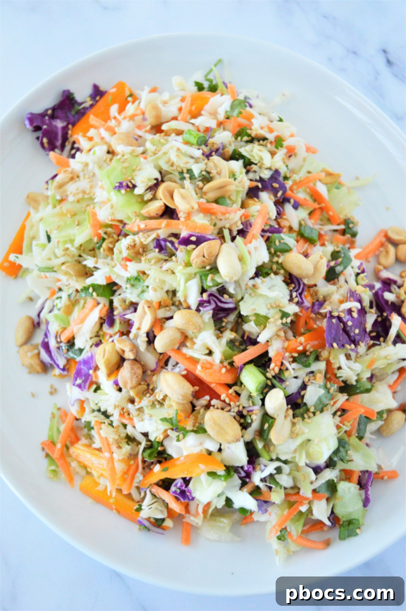 Zesty Keto Asian Slaw 1 featured 21882