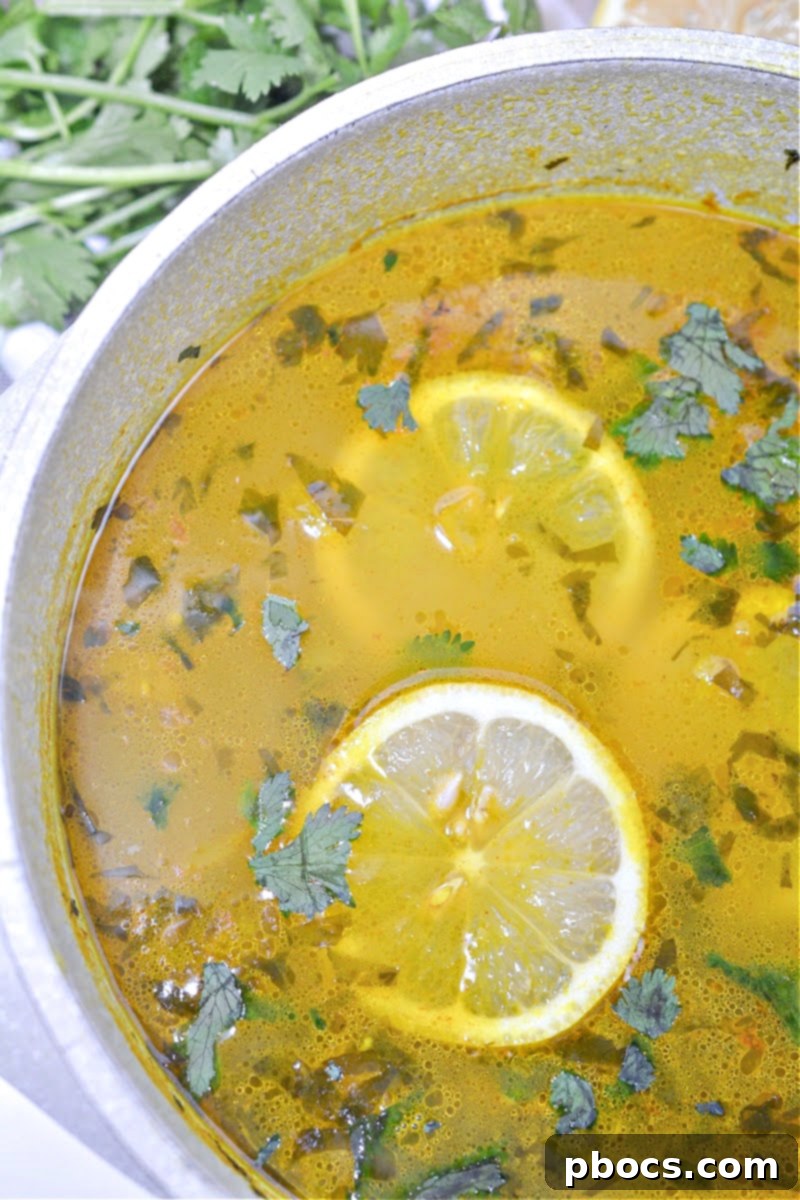 Sunshine Keto Zucchini Soup 1 featured 44721