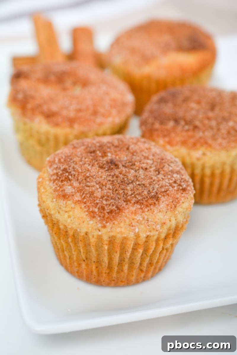 Delectable Keto Snickerdoodle Muffins 1 featured 51875