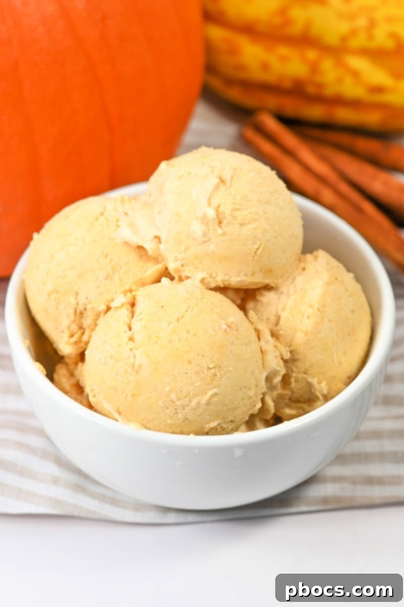 Guilt-Free Pumpkin Spice Ice Cream 1 featured 61898