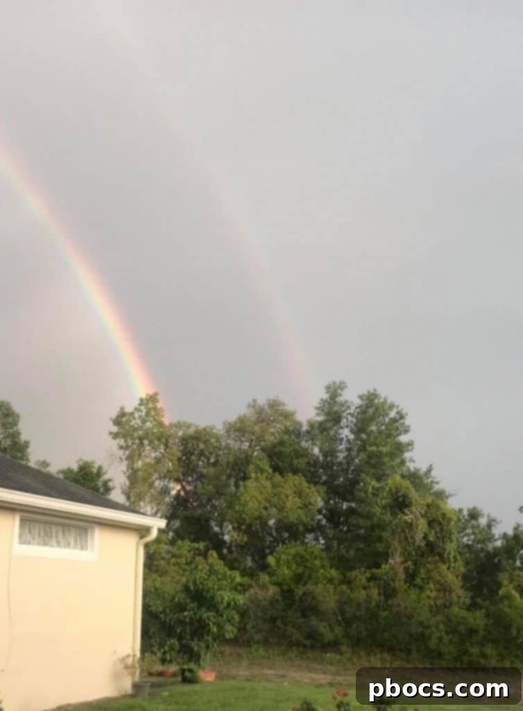 Family embracing change and finding their ideal home, a journey of adaptation