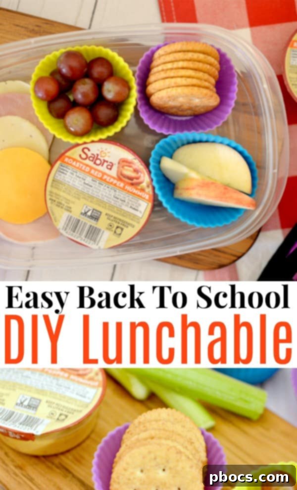 Pinterest graphic featuring a variety of Easy Back To School DIY Lunchable ideas and inspiration.