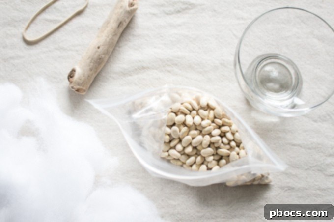 Filling Bag with Navy Beans for Pumpkin Base
