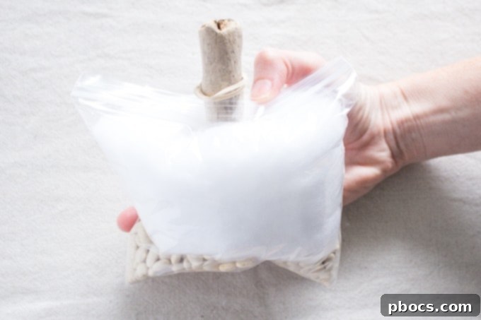 Rubber Band Around Driftwood Stem