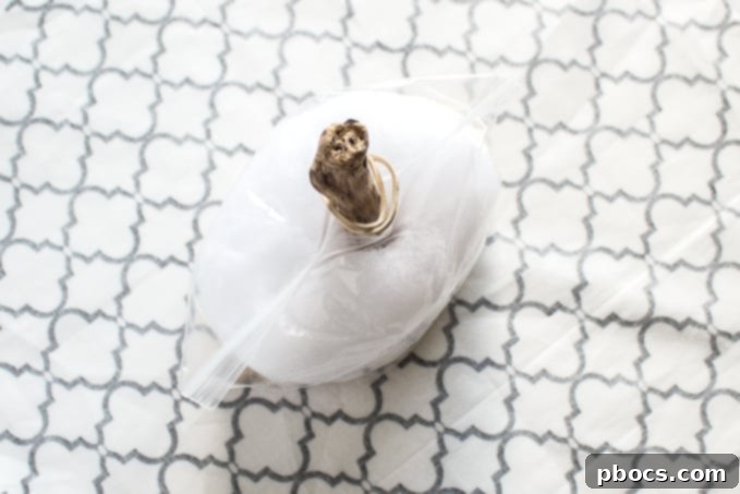 Fabric Pumpkin Core Placement