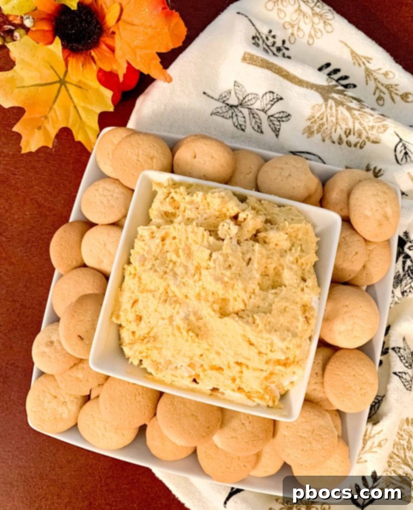 Easy No-Bake Pumpkin Cheesecake Dip for Fall Gatherings