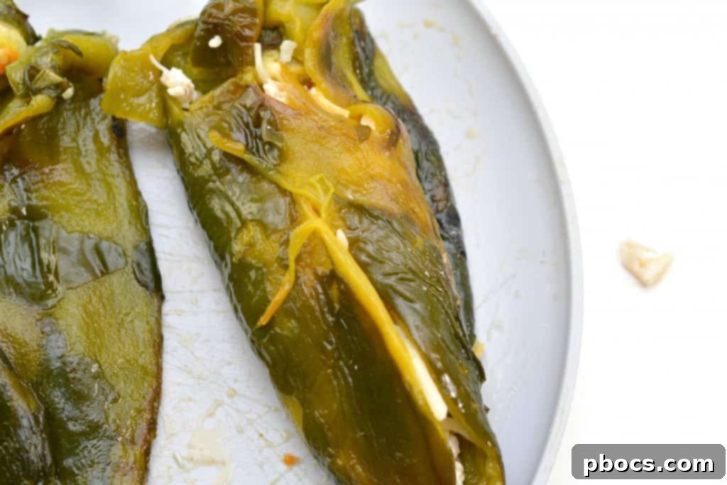 Low-Carb Stuffed Poblano Peppers 15 Keto Chili Rellenos