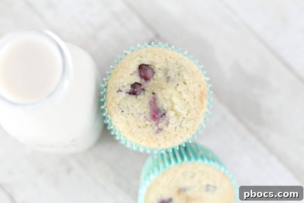 Fluffy Keto Blueberry Muffins 4 Keto Blueberry Muffins