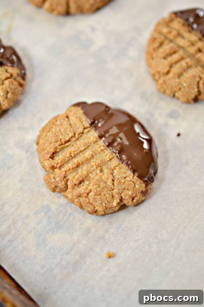 Close-up of a stack of Keto Chocolate Dipped Peanut Butter Cookies
