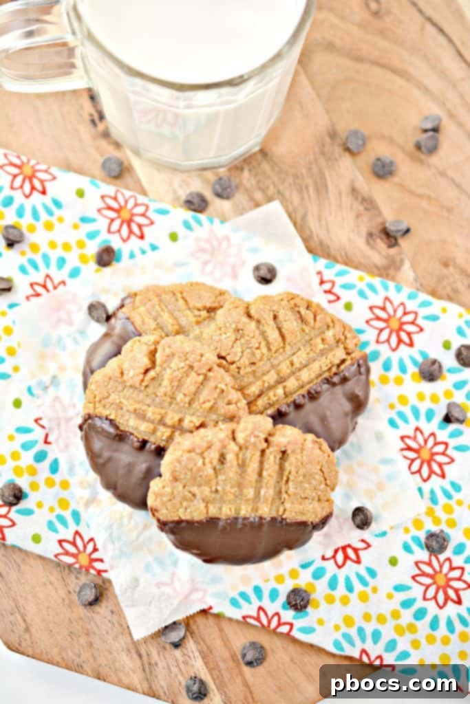 Close-up of freshly baked Keto Chocolate Dipped Peanut Butter Cookies
