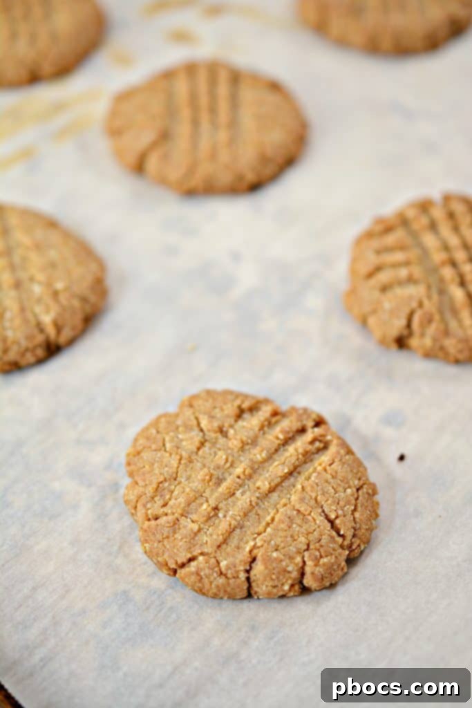 Freshly baked keto peanut butter cookies cooling
