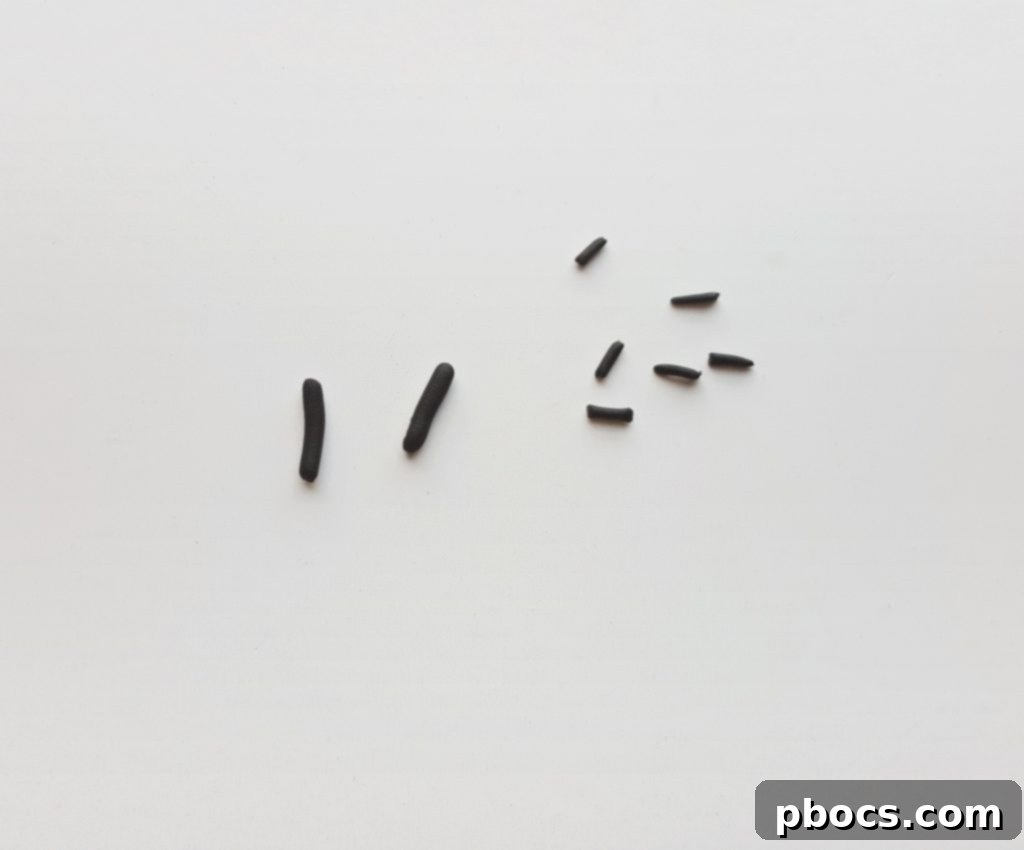 Craft Your Magical Clay Unicorn 14 Preparing Black Clay for Unicorn Eyes and Eyelashes