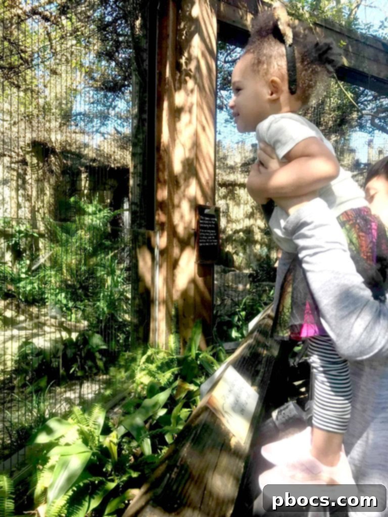 Five Tips For Traveling With Kids