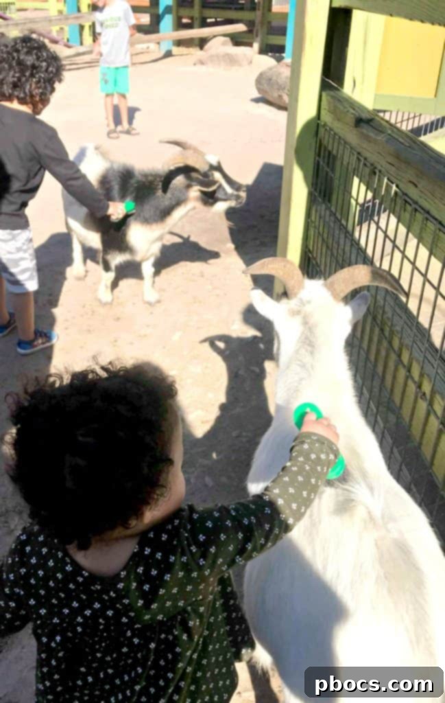 Five Tips For Traveling With Kids