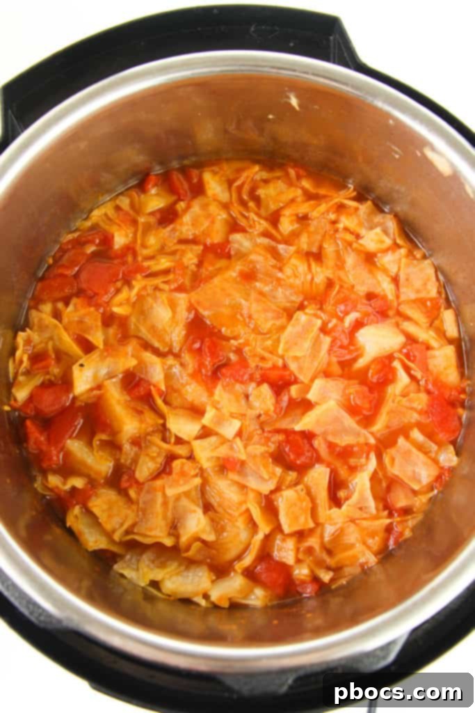 Finished Low Carb Cabbage Soup in Instant Pot
