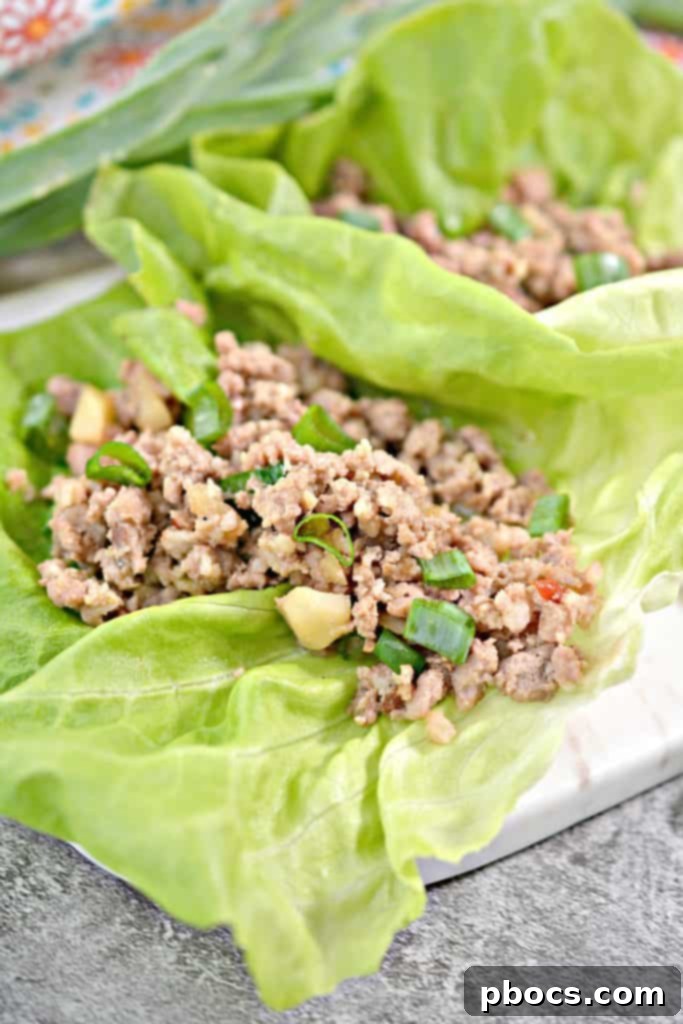 Low Carb Lettuce Wraps Recipe Close-up of Keto P.F. Chang's Lettuce Wraps with Savory Filling