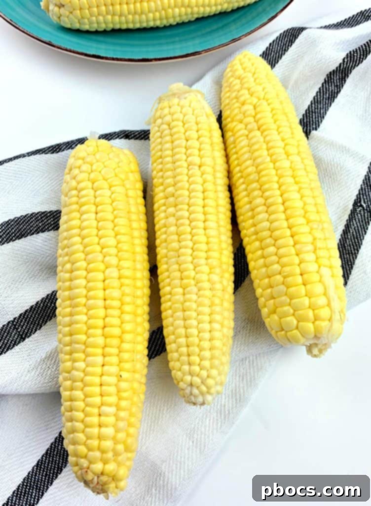 Air Fryer Corn On The Cob