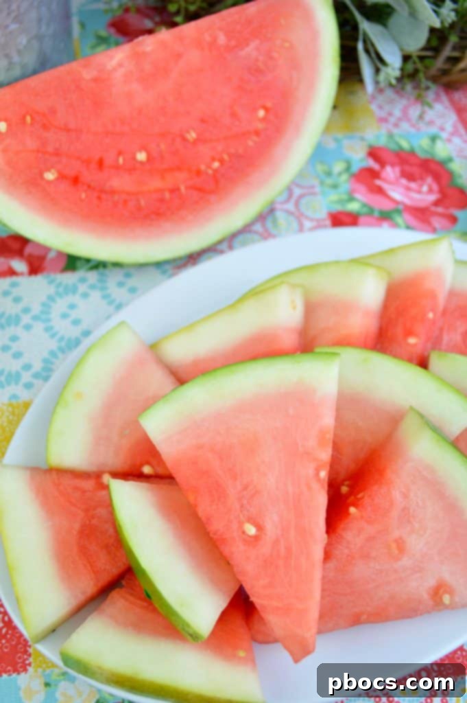 First Cookout with Watermelon Jalapeno Feta Salad 11 A diverse spread of delicious summer cookout dishes, including fresh salads, grilled meats, and vegetables, beautifully presented in an outdoor setting.