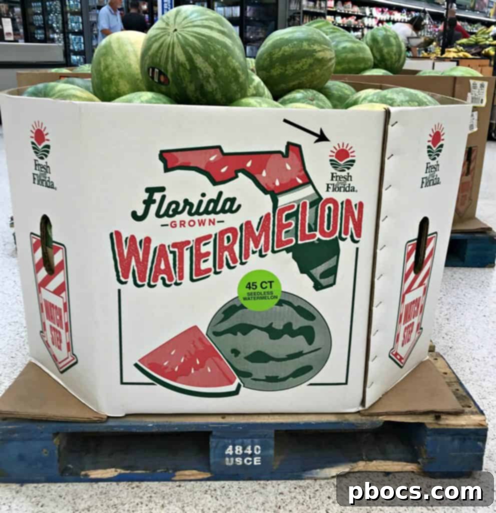 First Cookout with Watermelon Jalapeno Feta Salad 14 A charming still life of Fresh From Florida produce, including vibrant fruits and vegetables, artfully arranged to convey freshness and local sourcing.