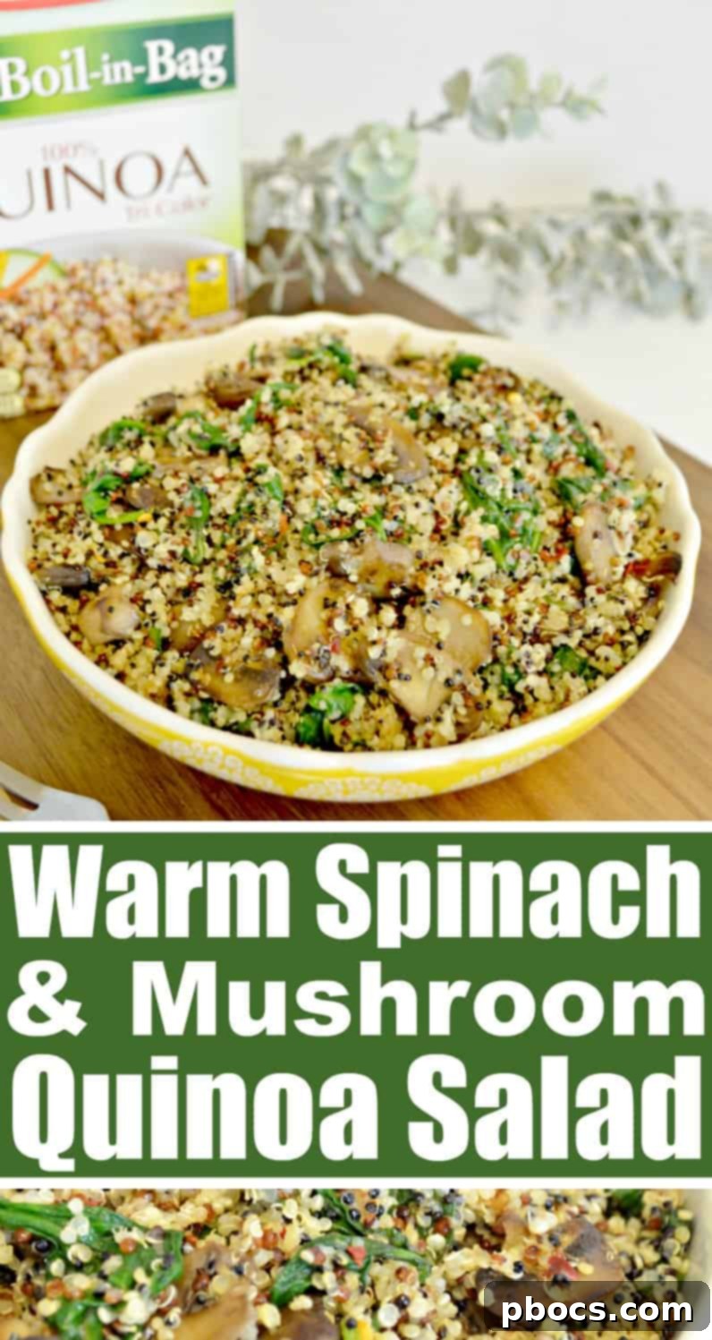 Warm Mushroom Spinach Quinoa Power Bowl 10 Warm Mushroom Spinach Quinoa Salad