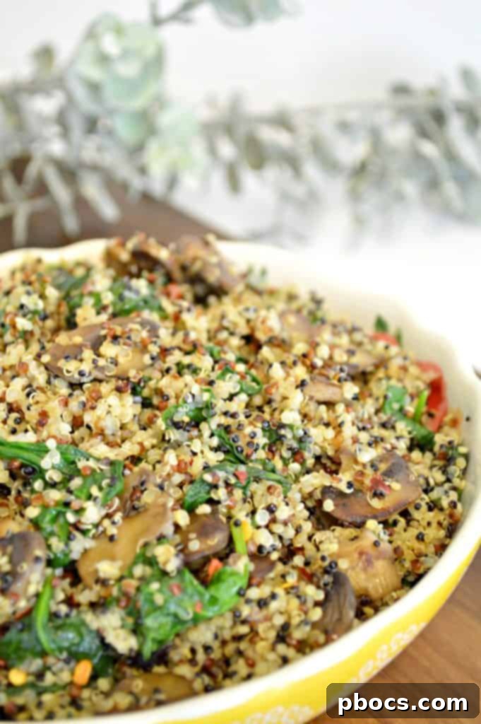 Warm Mushroom Spinach Quinoa Power Bowl 3 Warm Mushroom Spinach Quinoa Salad