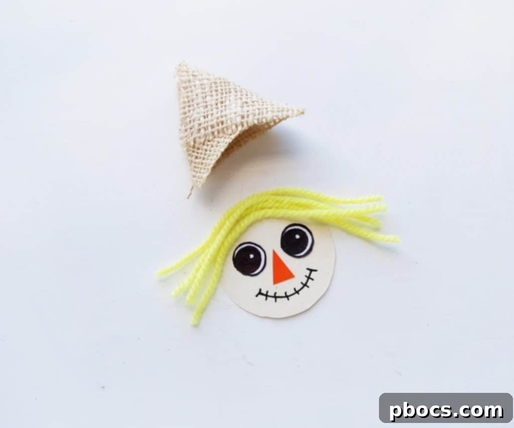 Scarecrow Craft Step 8: Making the face and hair