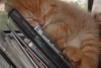 Weekly Monday Mayhem