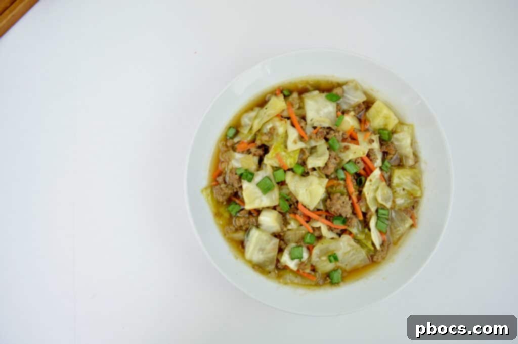 Close-up of Keto Egg Roll Soup ingredients