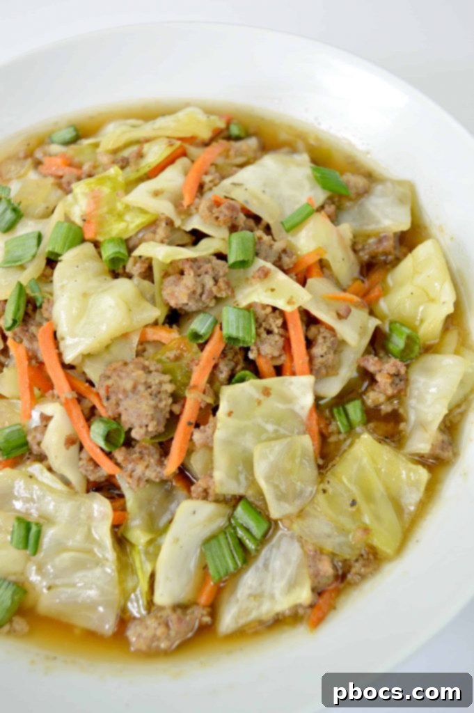 Bowl of Keto Egg Roll Soup with green onions