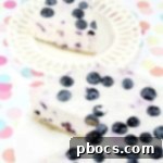 No Bake Keto Blueberry Cheesecake