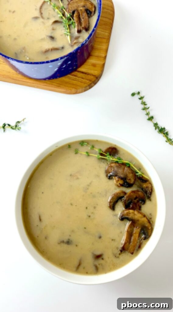 Velvety Low Carb Mushroom Soup 3 Low Carb Creamy Mushroom Soup
