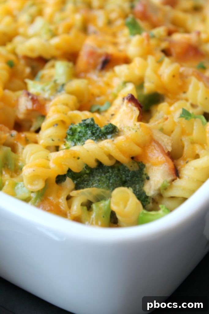 Healthy Chicken Broccoli Pasta Casserole