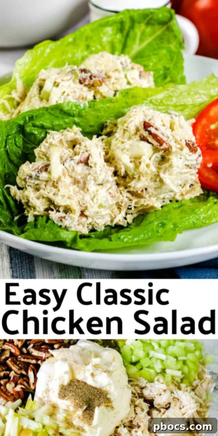 The Perfect Chicken Salad 11 Classic Chicken Salad Recipe