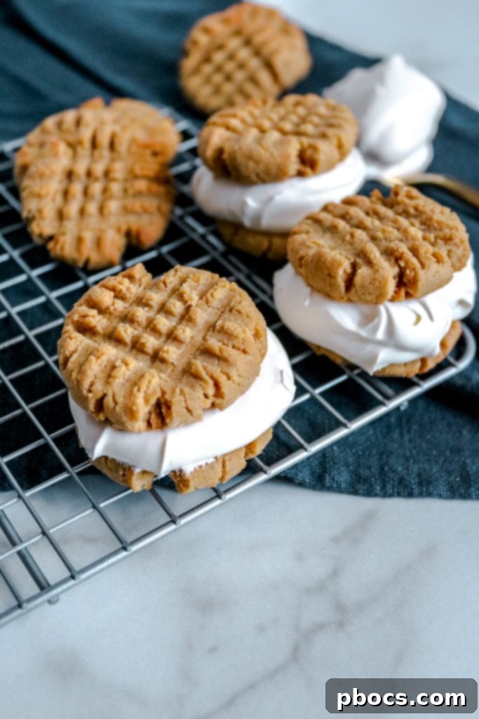 Keto Ice Cream Sandwich Delight 2 Keto Ice Cream Sandwich Recipe - Finished product