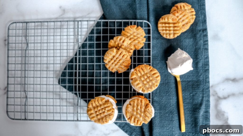 Keto Ice Cream Sandwich Delight 12 Keto Ice Cream Sandwich Recipe - Assembled sandwich ready to eat