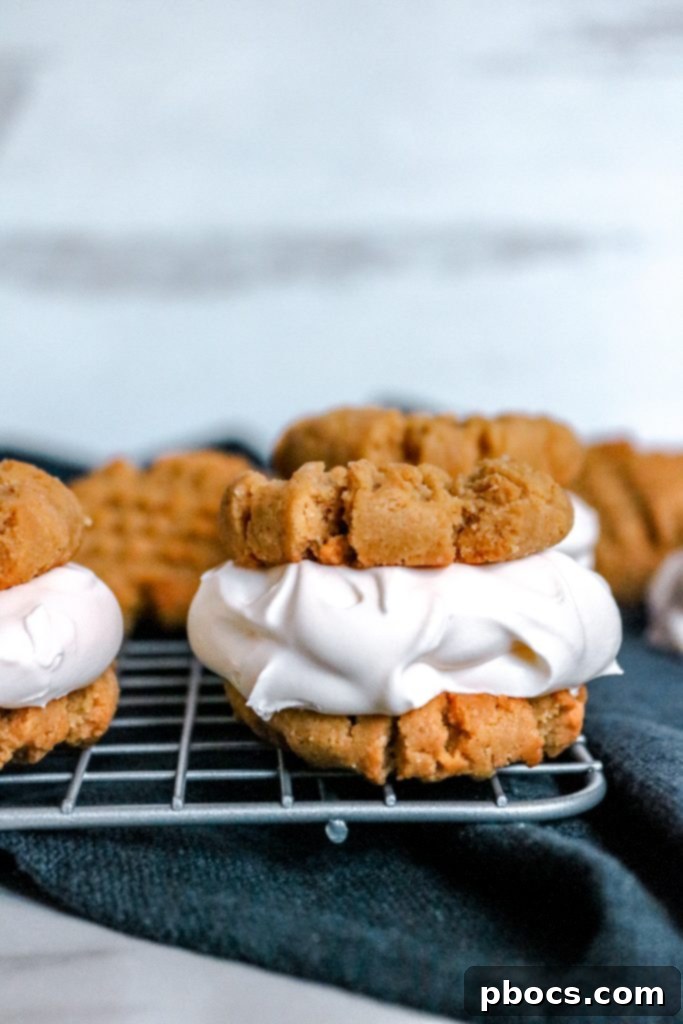 Keto Ice Cream Sandwich Delight 3 Keto Ice Cream Sandwich Recipe - Cookies and ice cream components