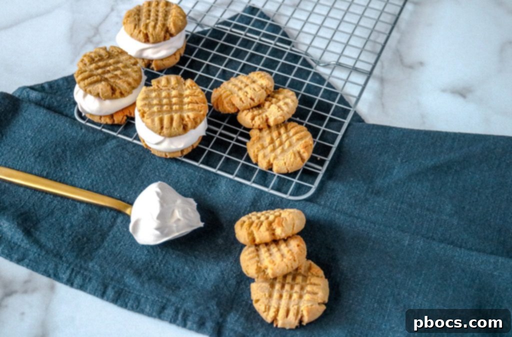 Keto Ice Cream Sandwich Delight 4 Keto Ice Cream Sandwich Recipe - Closeup of sandwich assembly