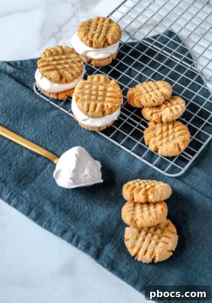 Keto Ice Cream Sandwich Delight 5 Keto Ice Cream Sandwich Recipe - Kids enjoying the treat