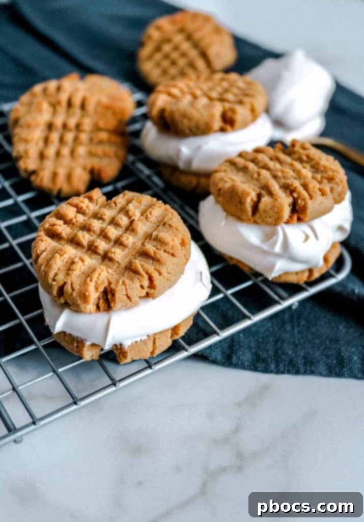 Keto Ice Cream Sandwich Delight 8 Keto Ice Cream Sandwich Recipe - Stacked sandwiches