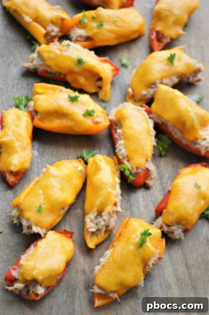 Cheesy Keto Tuna Poppers 2 Delicious Keto Tuna Melt Poppers Recipe, a low carb and high protein snack.