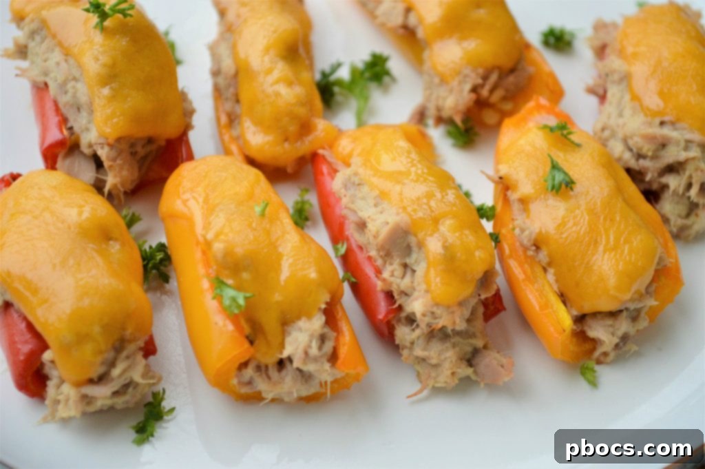 Cheesy Keto Tuna Poppers 10 Baked Keto Tuna Melt Poppers with melted cheese.