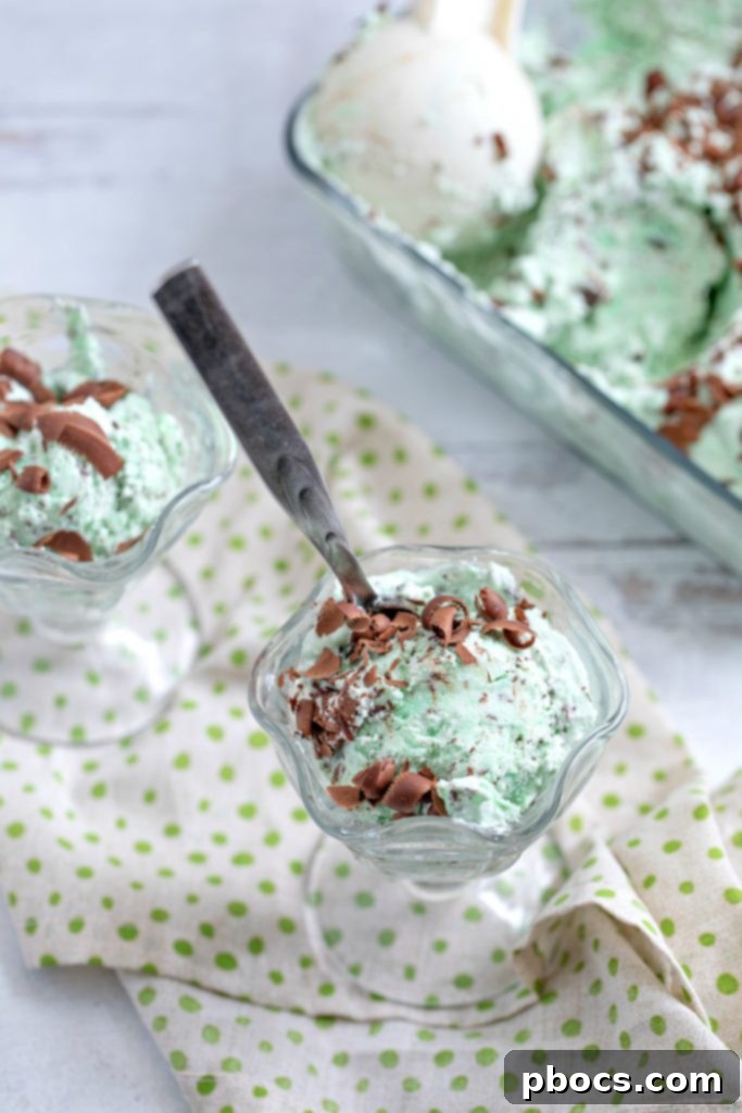 Refreshing Keto Mint Chocolate Chip Ice Cream 2 Keto Mint Chocolate Ice Cream