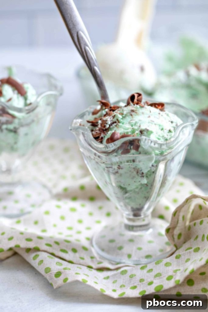 Refreshing Keto Mint Chocolate Chip Ice Cream 4 Keto Mint Chocolate Ice Cream