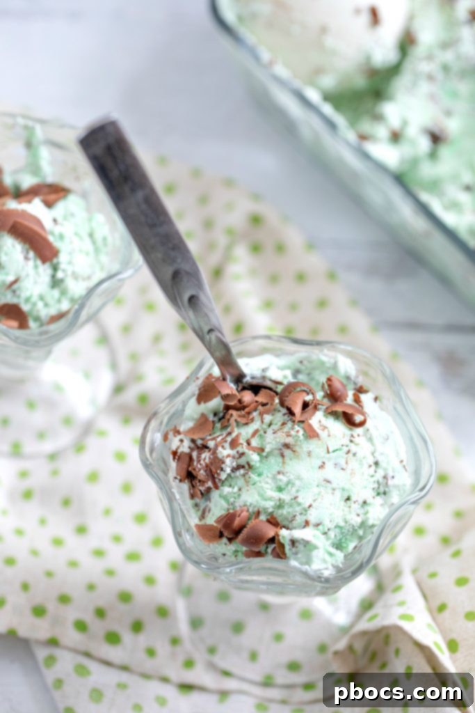 Refreshing Keto Mint Chocolate Chip Ice Cream 5 img 17391 4