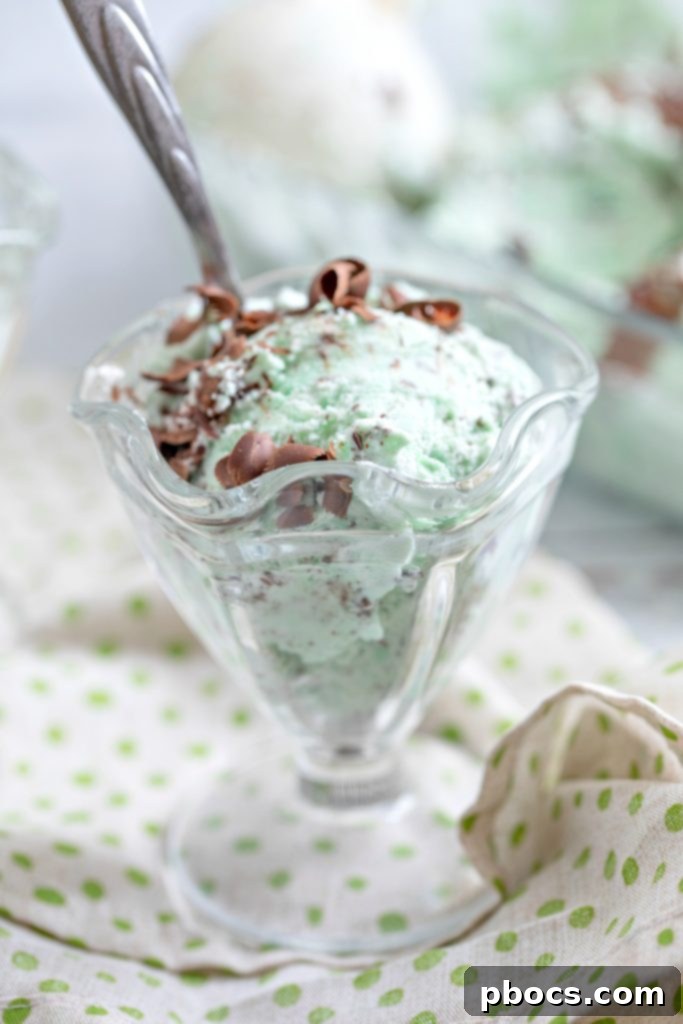 Refreshing Keto Mint Chocolate Chip Ice Cream 6 Keto Mint Chocolate Ice Cream