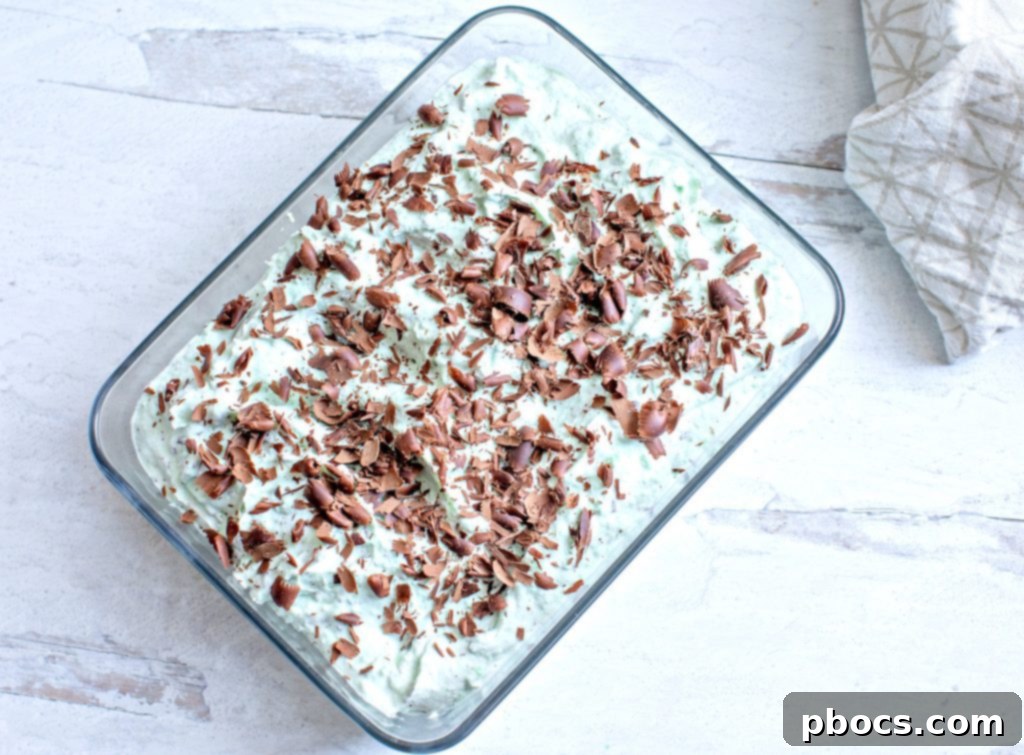 Refreshing Keto Mint Chocolate Chip Ice Cream 7 Keto Mint Chocolate Ice Cream